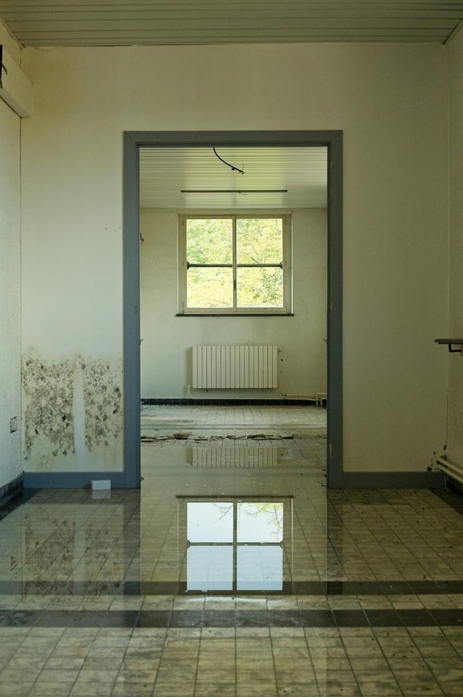 Flooded room with moisture and mold concerns